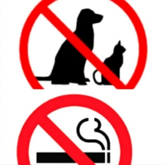 New L*space croc iridescent bikini M - Picture 8 of 8